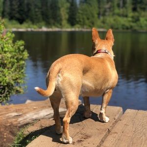 Meet your Posher, Haiying